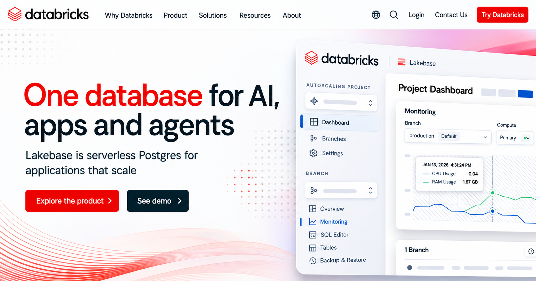 databricks review